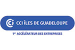 CCI des iles de Guadeloupe