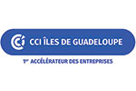 CCI Iles de Guadeloupe